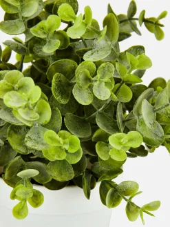 Primark Plantes Et Fleurs Artificielles|Petit Eucalyptus Artificiel