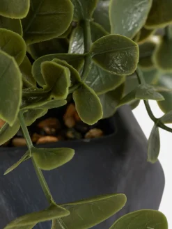 Primark Plantes Et Fleurs Artificielles|Succulente Artificielle Suspendue Dans Pot Géométrique