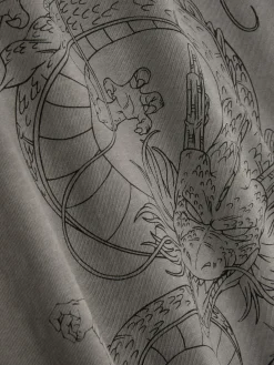 Enfant Primark Hauts Et T-Shirts|T-shirt Graphique Dragon Ball Z